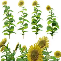 Sunflower 3D model