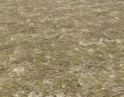 Tundra grass terrain pack Texture