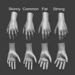 4 types of hand skinny common fat and strong 3D model