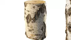 8k birch stump 3D model