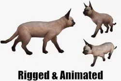animated siamese cat Low-poly 3D model