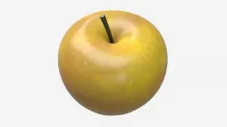 Apple single fruit green gala 3D model