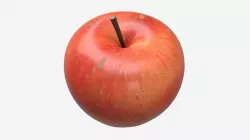 Apple single fruit red gala 3D model
