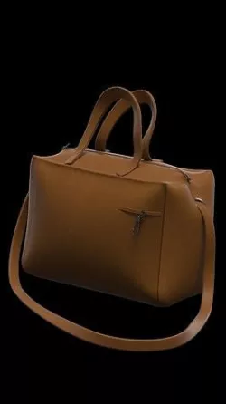 bag model 3D model