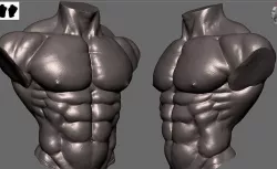 Body Builder Torso 3D model
