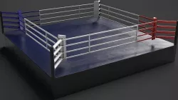 Boxing Ring 3D model