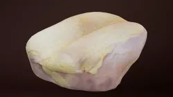 Breast  Low-poly 3D model