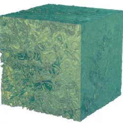 Cells 3D model