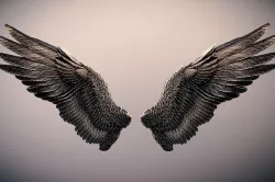 Dark Angel Wings Low-poly 3D model