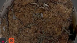 Dirty Ground  Low-poly 3D model