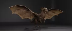 DRAGON BLENDER 1 Low-poly 3D model