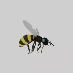 flying bee 3D model