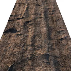Forest road material 02 3D model