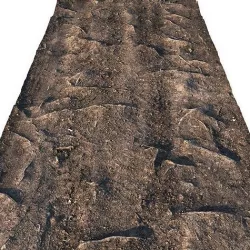 Forest road material 03 Low-poly 3D model