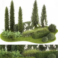 Garden of thuja and cypress trees with pampas grass bushes 1152 3D model