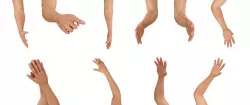 Hands Rigged 3D model