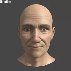  Head with Morph Targets 3d Model 3D model