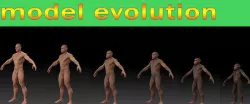Human evolution model 3D model