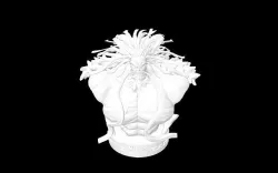 Kaido One Piece 3D model