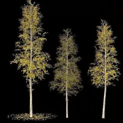 Landscape tree set 3D model