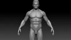 Male anatomy reference and print 3D model 3D model
