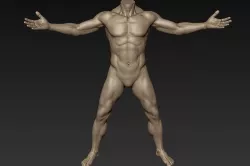 Male Full Body Sculpt Pose 11 3D model