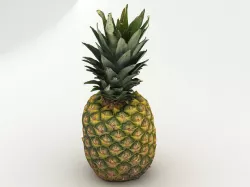 Pineapple 3D model