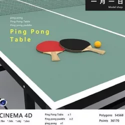 Ping Pong Table 3D model