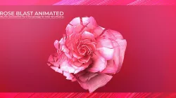 Rose Blast Animated 3D model