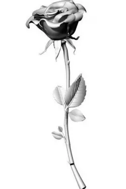 Rose Stem 3D model