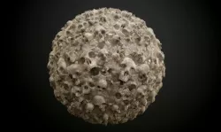 Skull Muddy Seamless PBR Texture Texture