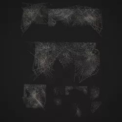 Spider Webs Low-poly 3D model