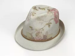 Summer Hat 3D model