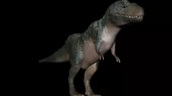 T-REX 3D model