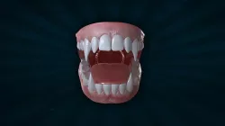 TETH-002 Rigged Teeth 3D model