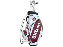 Wilson Golf Bag White Low-poly 3D model