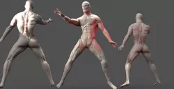 Zombie Warrior anatomy Action pose 3D model