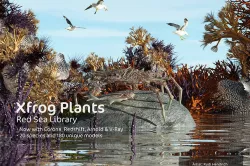 2020 XfrogPlants Red Sea Library  3D model