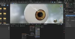 3D Human Eye with Nomral map 3D model