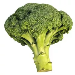 4k  scanned broccoli 3D model