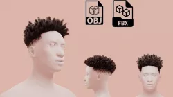 Afro Taper Fade  3D model