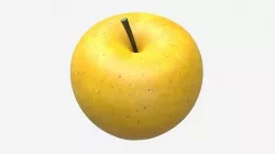 Apple single fruit golden 3D model