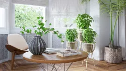 Archmodels vol 260 pot plants 3D model
