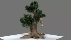 Baya Weaver Nest 3D model