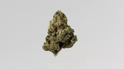 Cannabis Marijuana Weed Bud 3D model