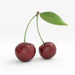 cherry 3D model 3D model