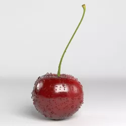 Cherry 3D model
