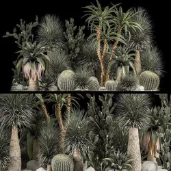 Collection Plants Desert Flowerbed With Cactus 1117 3D model