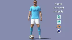Erling Haaland 3D model