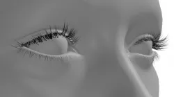 Eyelashes Low-poly 3D model